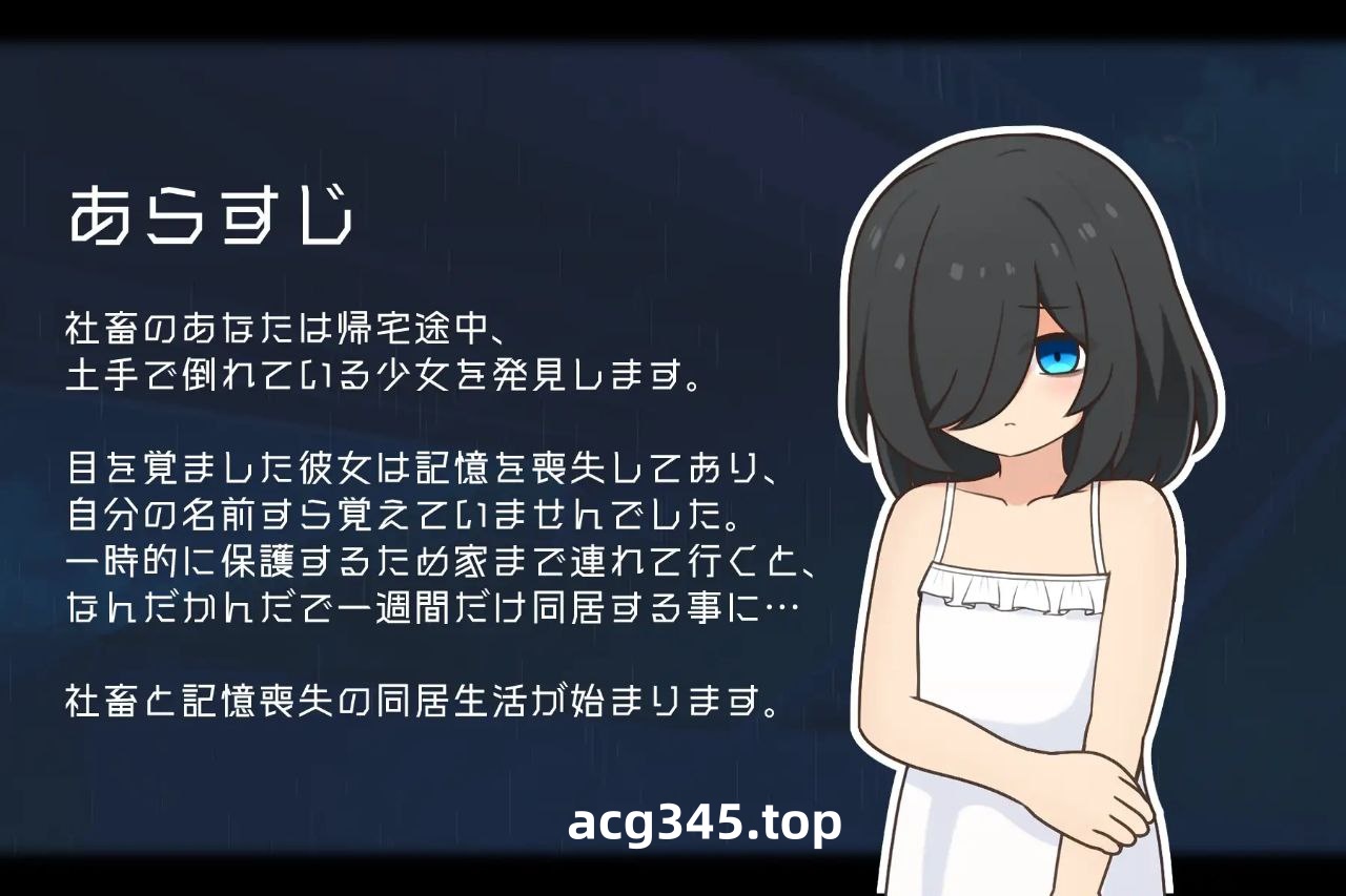 t3072失忆少女 Little sister 汉化版[新作/500M][PC+安卓]-ACG游戏网