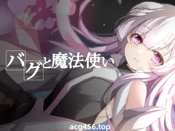 x1906 BUG与魔法使(バグと魔法使い)  汉化版 [360M]-ACG游戏网