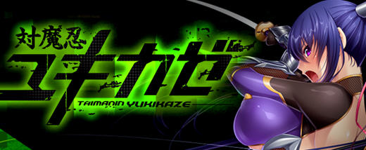 【大拔作ADV/汉化/全动态】对魔忍雪风动态重置汉化版+全CG【佳作/PC+安卓/3G】-ACG游戏网