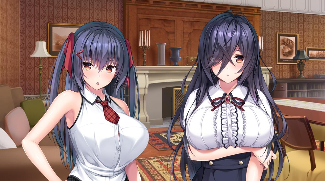 图片[3]-t2072 ROLEPLAYER：小粥姐妹的黏膜游戏 汉化版[新作/6G]-ACG游戏网