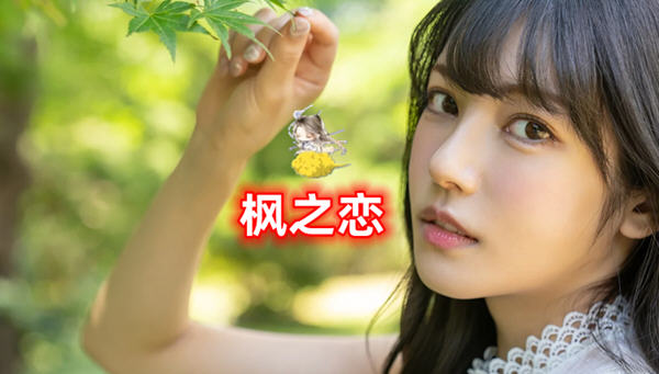 【国人原创SLG/中文/动态CG】[逍遥大大] 枫之恋 Ver1.0 官方中文版【PC+安卓/2G/新作】-ACG游戏网